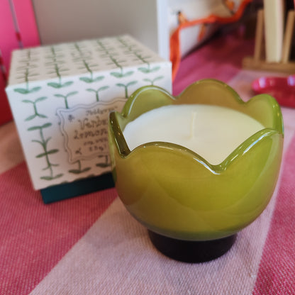 Paddywax Verbena & Lemongrass Soy Wax Candle 5.5 oz