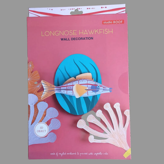 Long nose Hawkfish wall Art