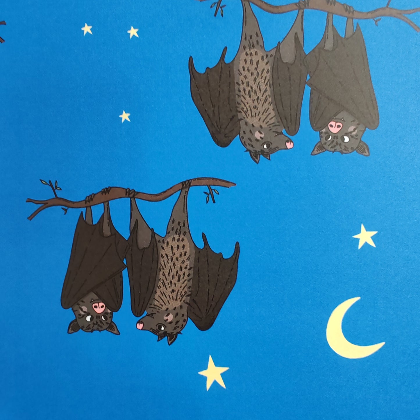 Two bats in love gift wrap