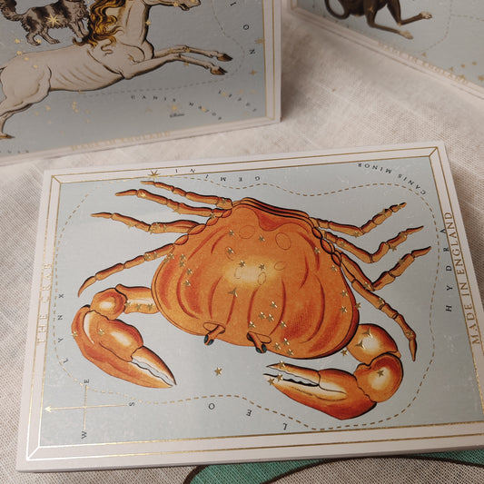 Astrology style packaging of a crab