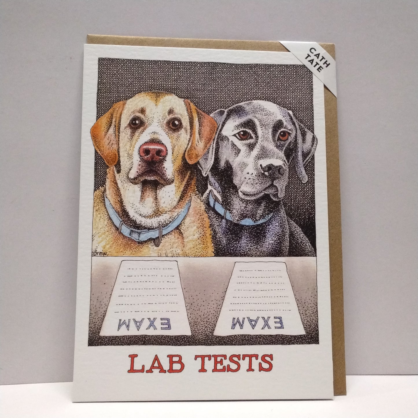 Lab-rador Tests - Greeting Card