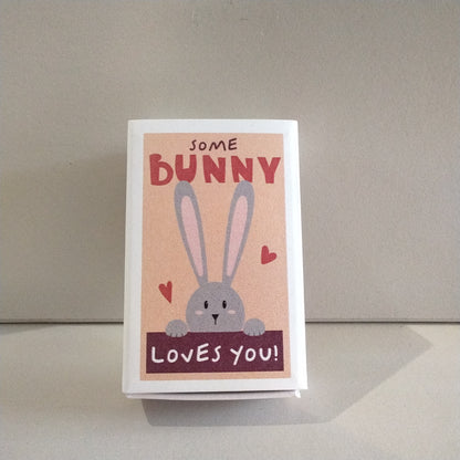 SomeBunny Loves You Wool Felt Rabbit in a Matchbox