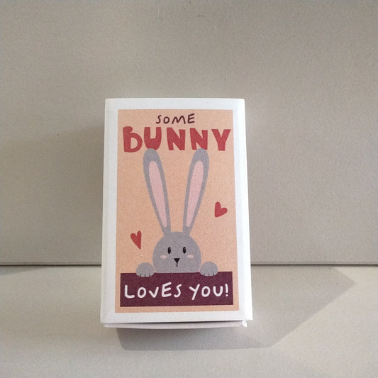SomeBunny Loves You Wool Felt Rabbit in a Matchbox