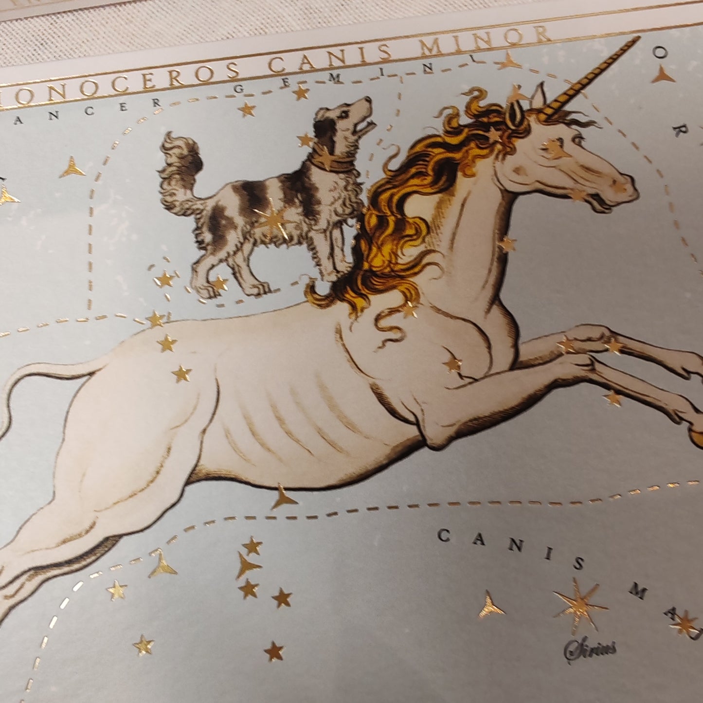 Astrology Unicorn decorative Matches