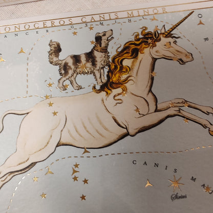 Astrology Unicorn decorative Matches