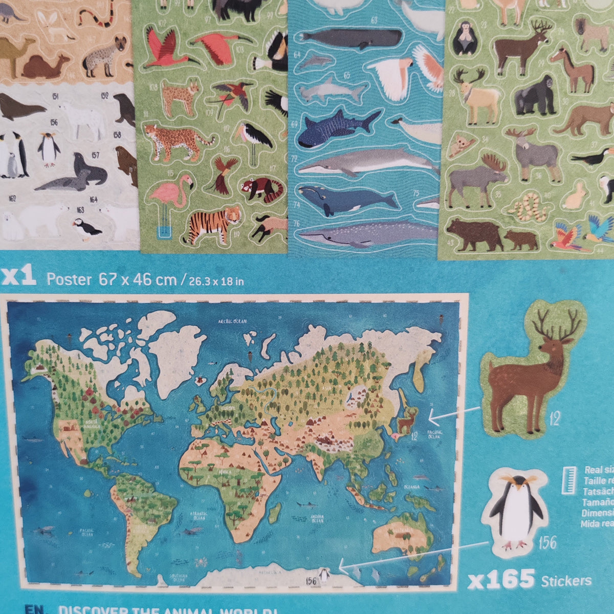 Animal World Poster and Stickers