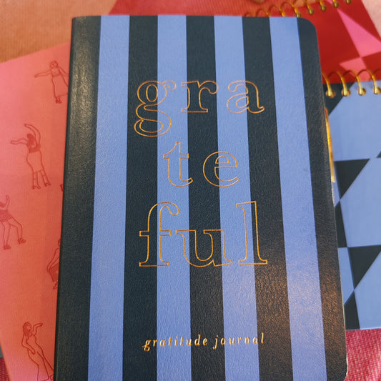Blue stripe gratitude journal.